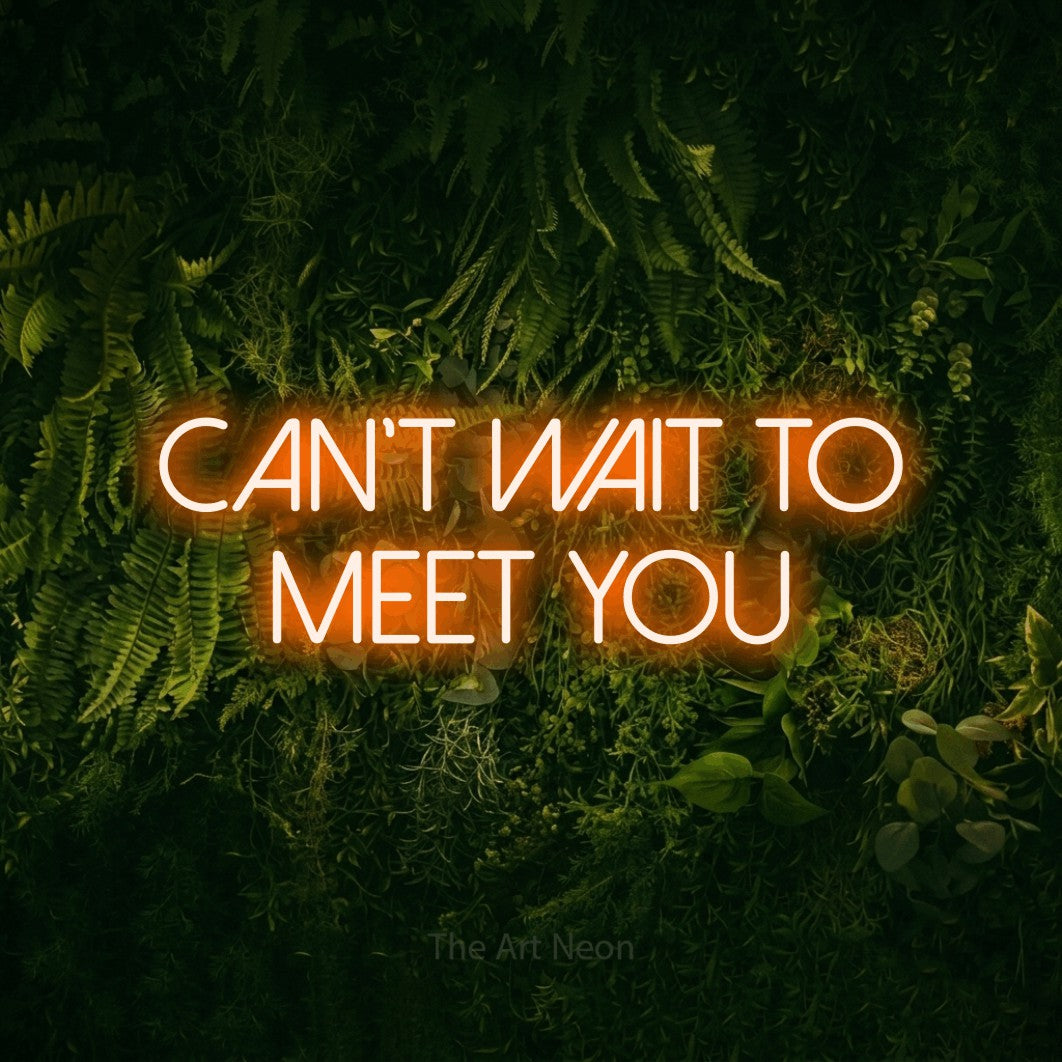 Orange LED neon sign reading "Can't Wait to Meet You" against a moss-covered green wall