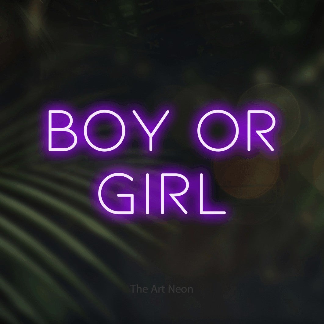 Purple LED neon sign reading "Boy or Girl" against dark blurred palm leaves