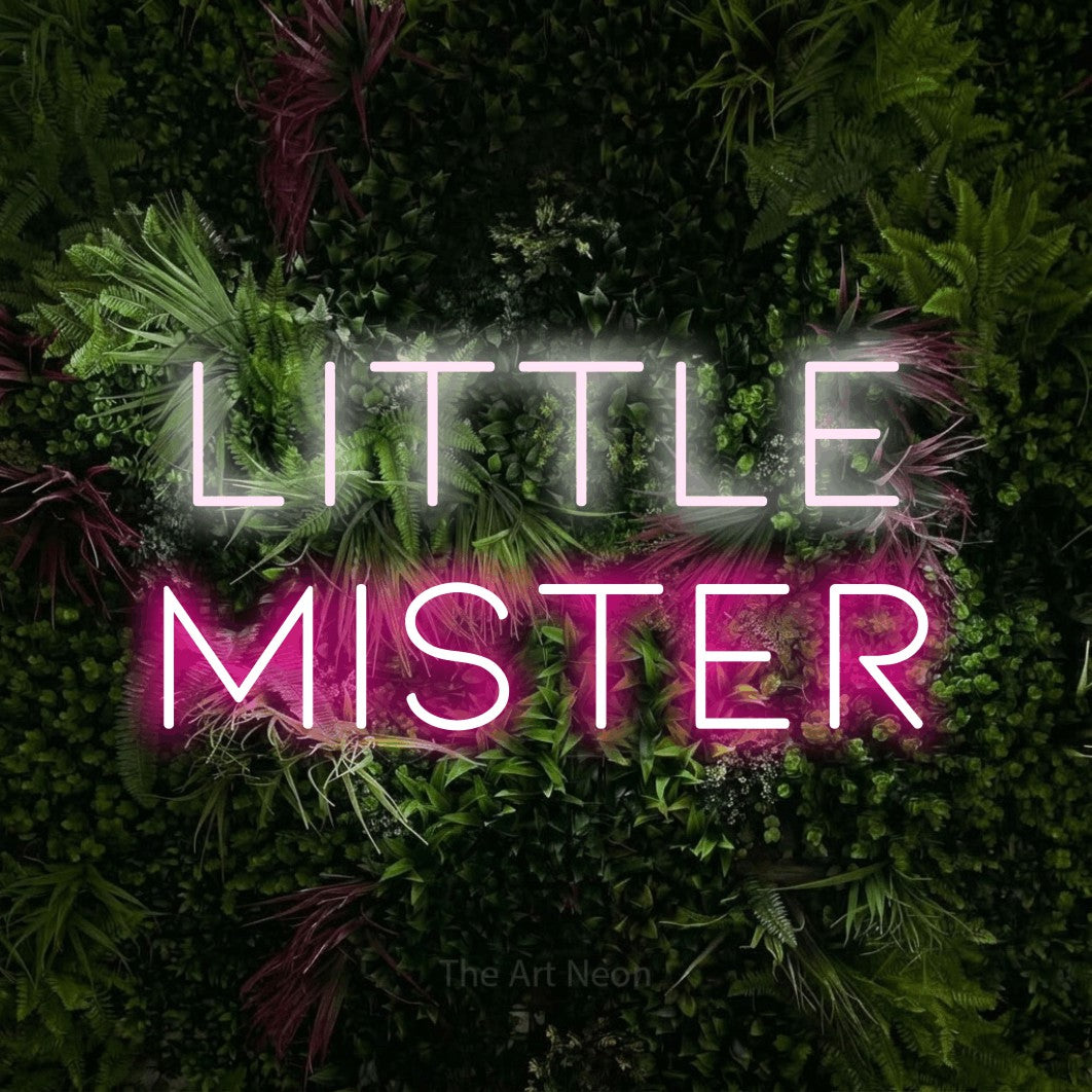 Enseigne néon à DEL à lumière rose vif et blanche froide, affichant « Little Mister » sur un mur de jardin luxuriant aux fleurs roses, pour décorer une chambre de bébé