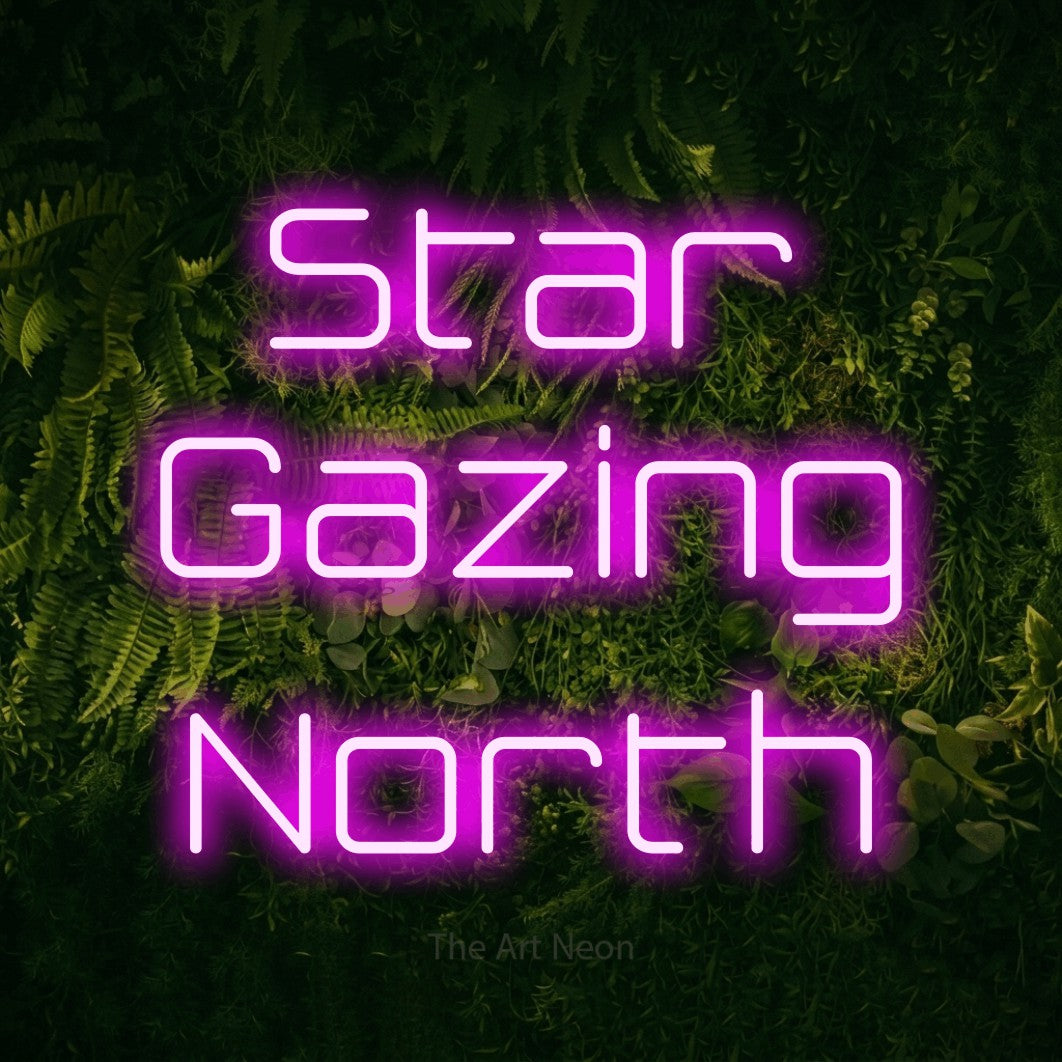 Pink LED neon sign reading "Star Gazing North" against a moss-covered green wall