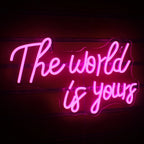 Enseigne néon LED USB 5 V The World Is Yours