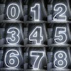 Birthday 0–9 Digital Numbers 5V USB LED neon sign
