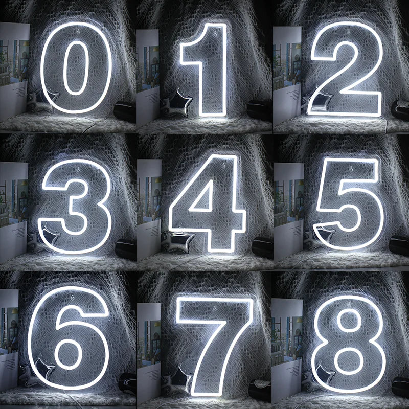Birthday 0–9 Digital Numbers 5V USB LED neon sign