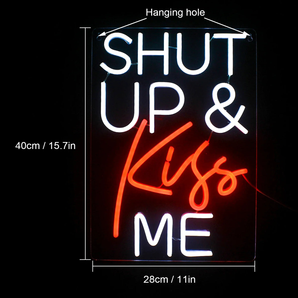 Shut Up & Kiss Me 5V USB LED neon sign