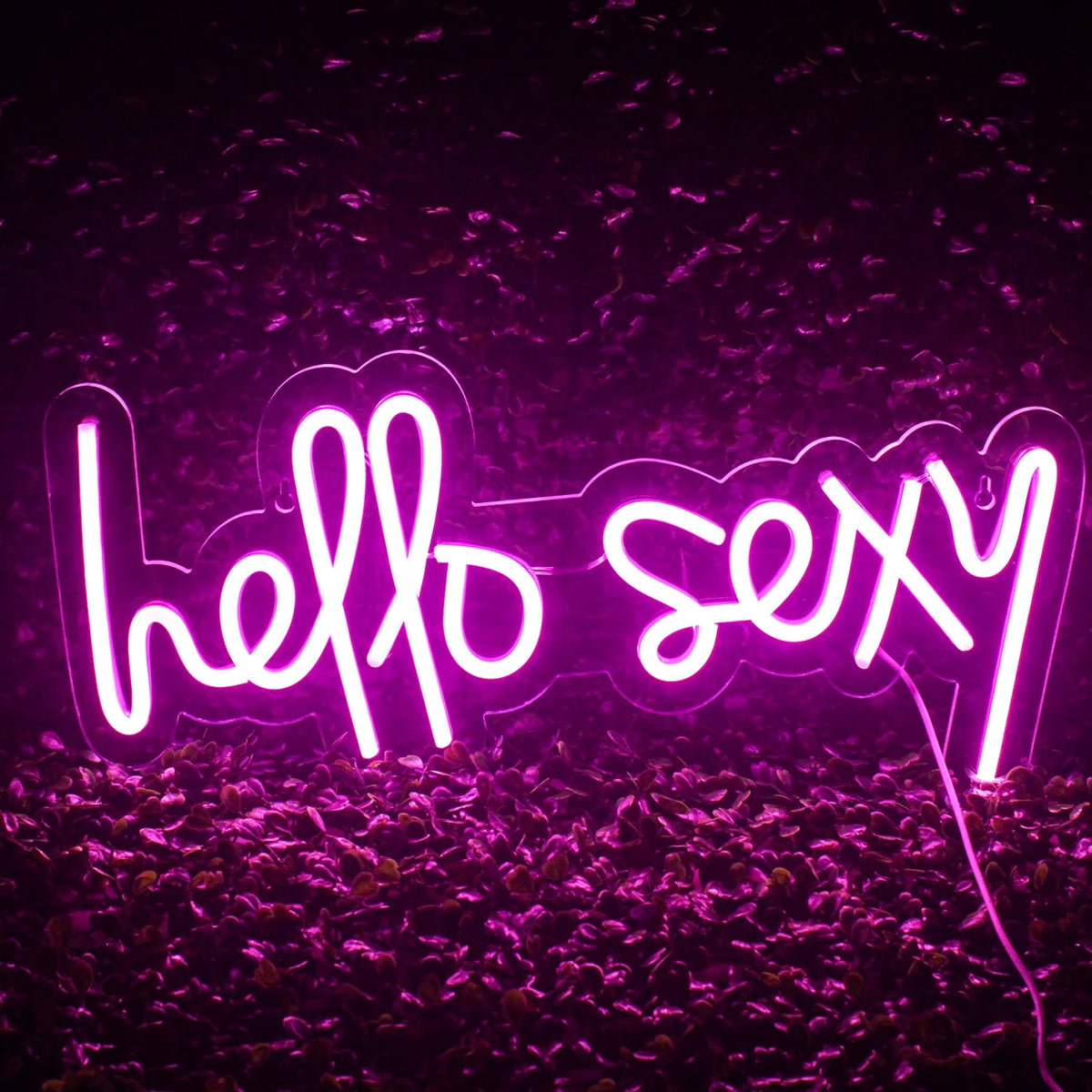Enseigne néon LED USB 5 V Hello Sexy