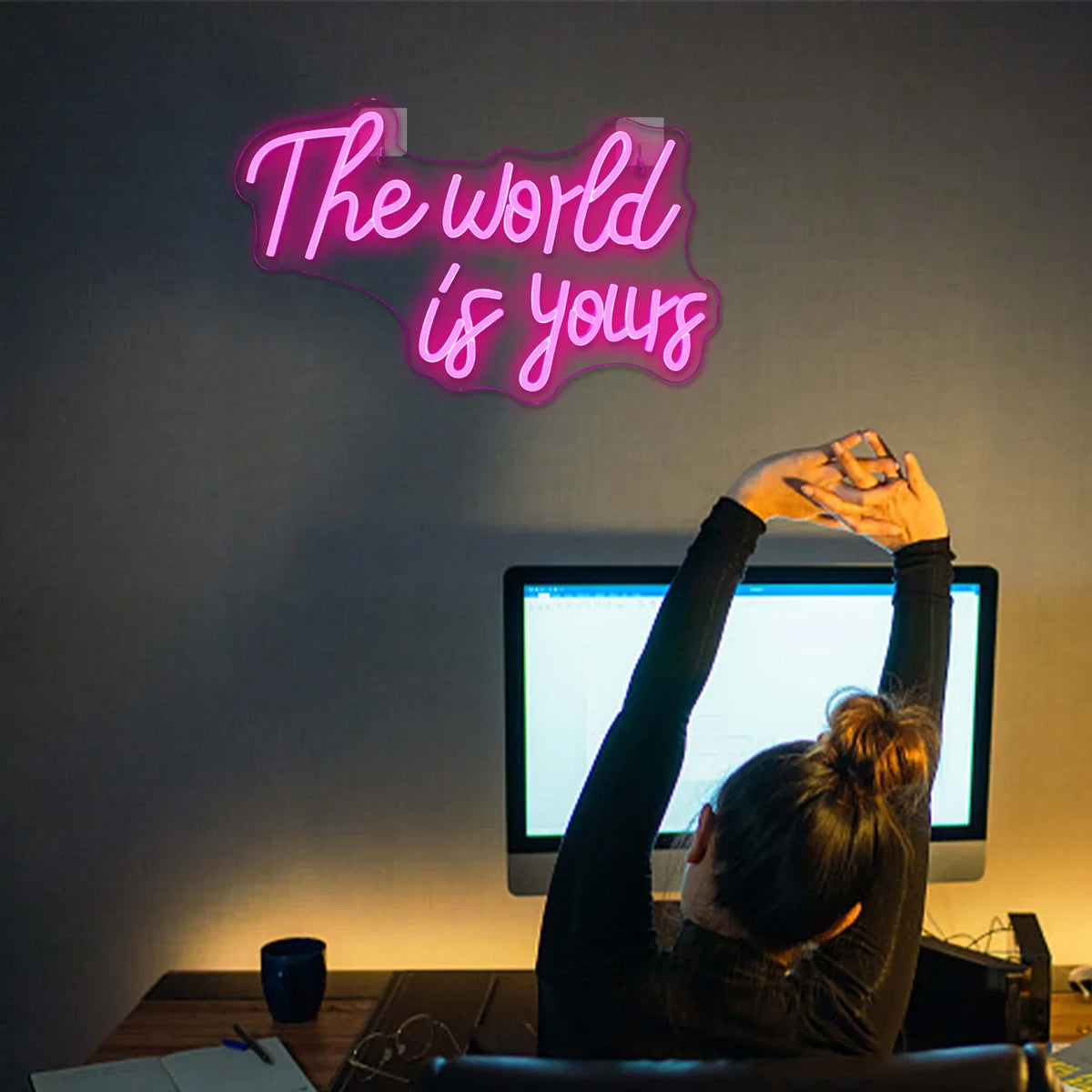 Enseigne néon LED USB 5 V The World Is Yours