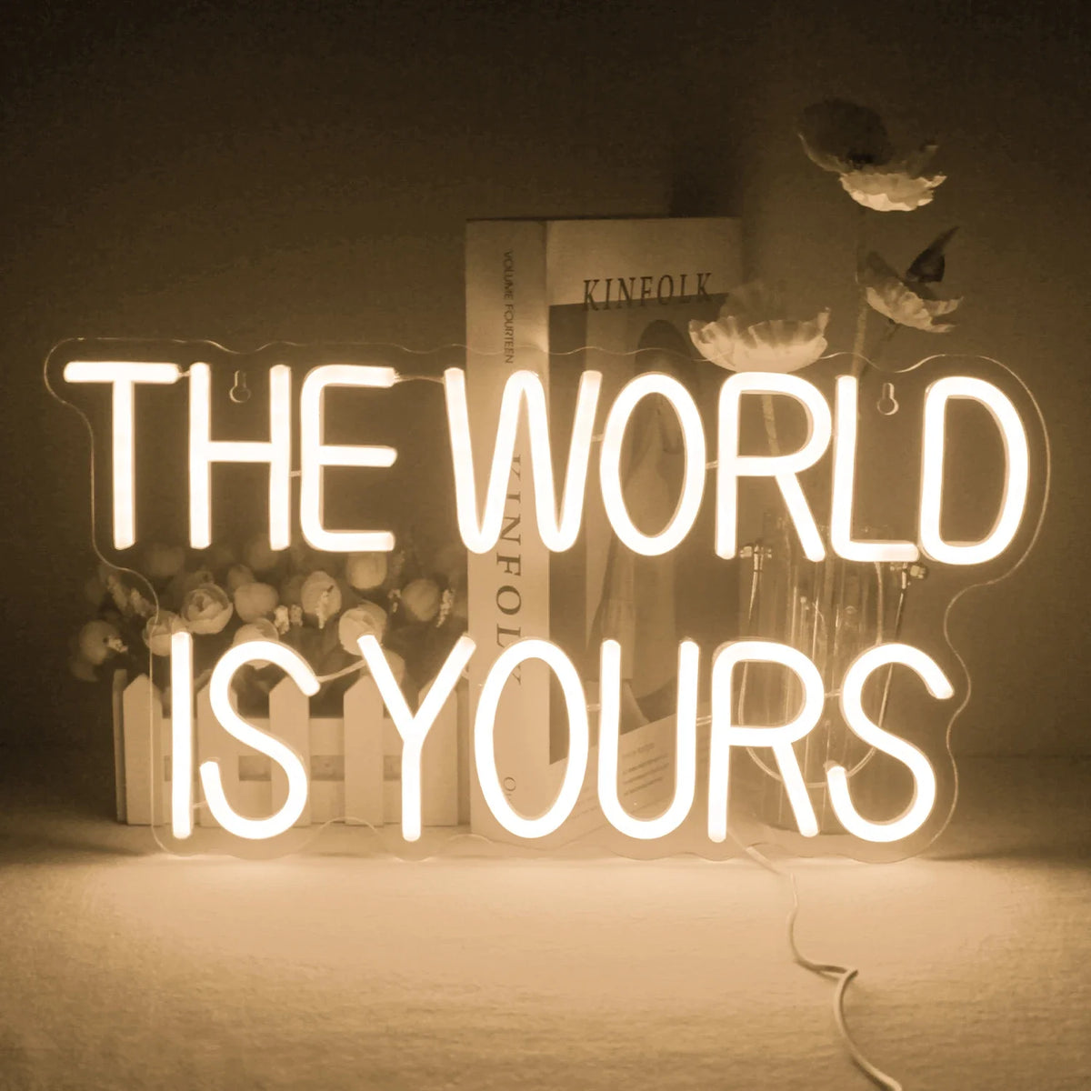 Enseigne néon LED USB 5 V The World Is Yours