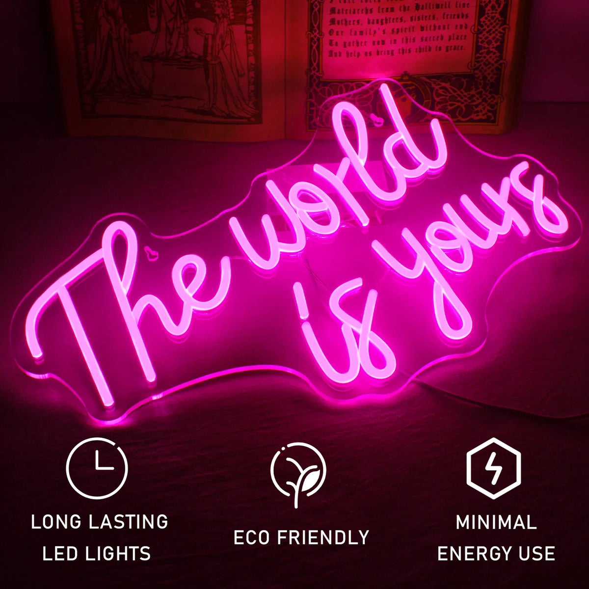 Enseigne néon LED USB 5 V The World Is Yours