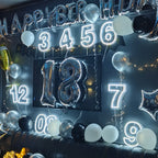Birthday 0–9 Digital Numbers 5V USB LED neon sign