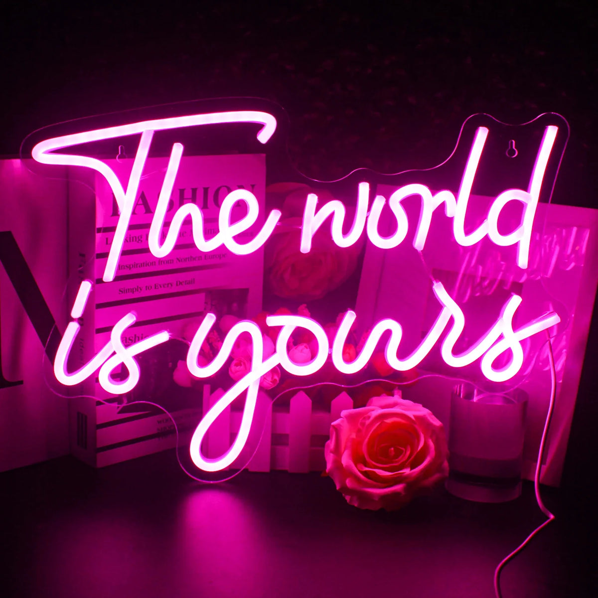 The World Is Yours 5V USB LED neon sign – Pink