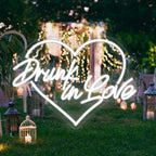 Drunk in Love 5V USB LED neon sign