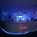 Paradise 5V USB LED neon sign