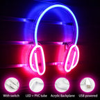 Headphones 5V USB LED neon sign