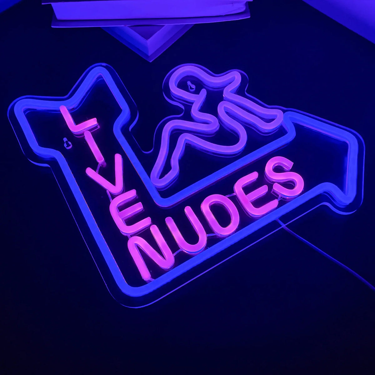 Enseigne néon LED USB 5 V Silhouette féminine « Live Nudes »