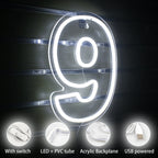 Birthday 0–9 Digital Numbers 5V USB LED neon sign