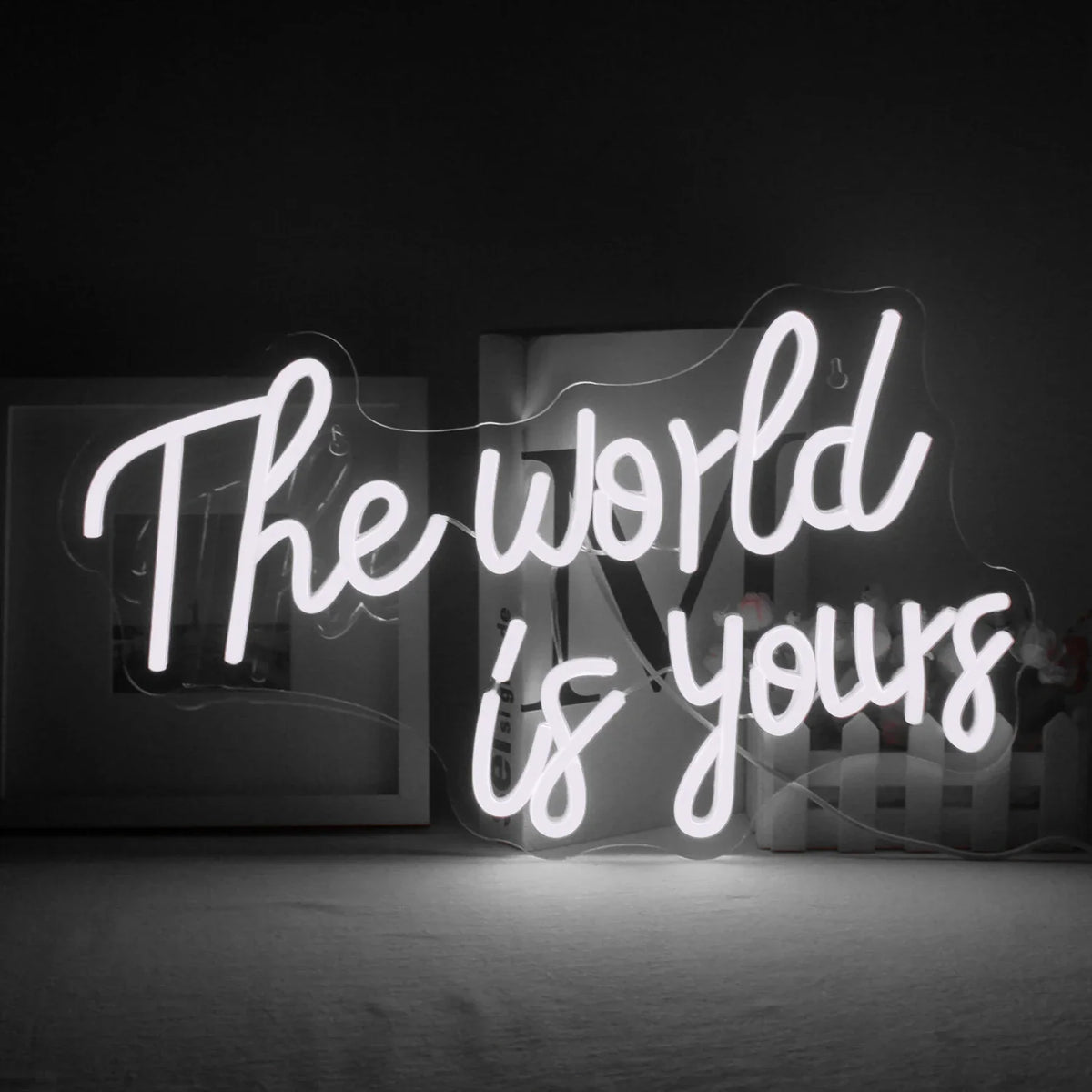Enseigne néon LED USB 5 V The World Is Yours — blanc 42 × 25,5 cm