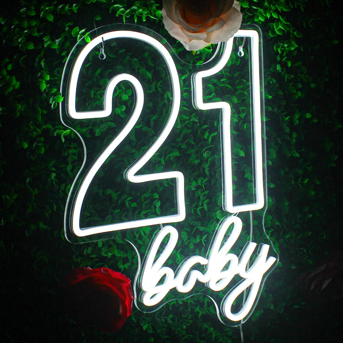 21 Baby Happy Birthday 5V USB LED neon sign