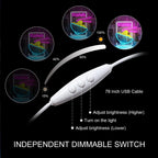 Ramen Time 5V USB LED neon sign