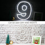 Birthday 0–9 Digital Numbers 5V USB LED neon sign