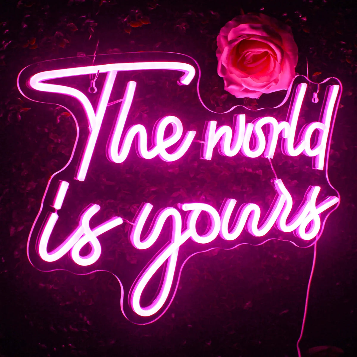 The World Is Yours 5V USB LED neon sign