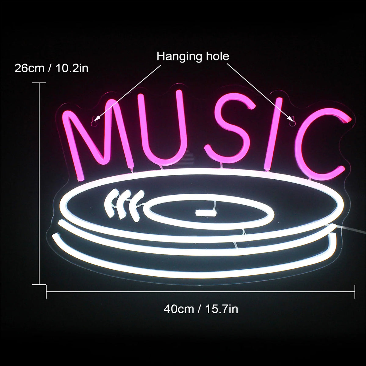 Music Record 5V USB LED neon sign