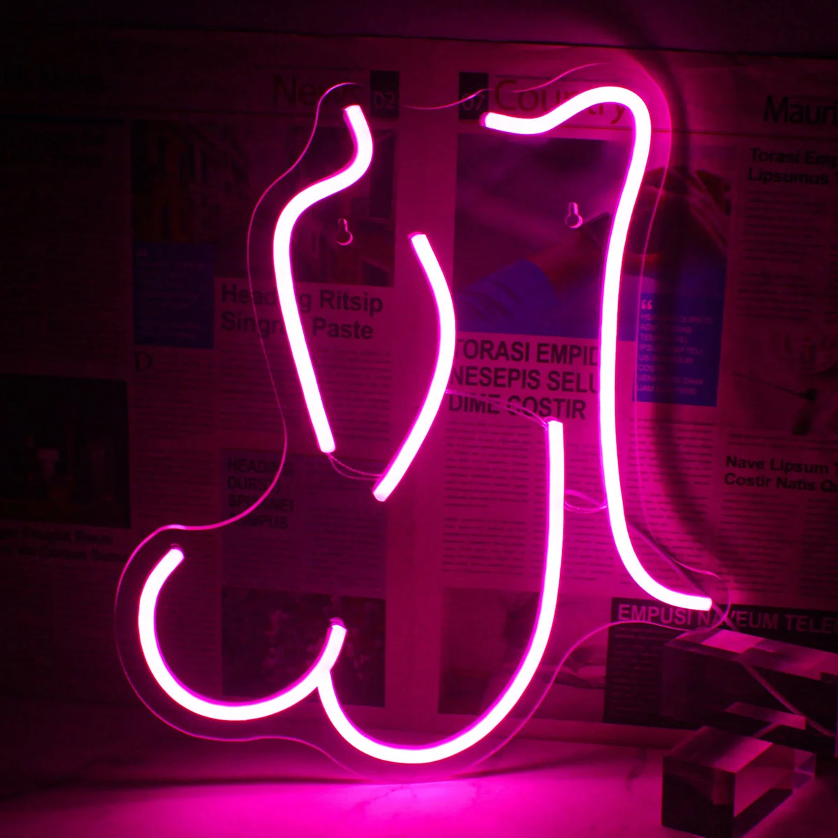 Sexy Lady 5V USB LED neon sign