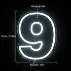 Birthday 0–9 Digital Numbers 5V USB LED neon sign