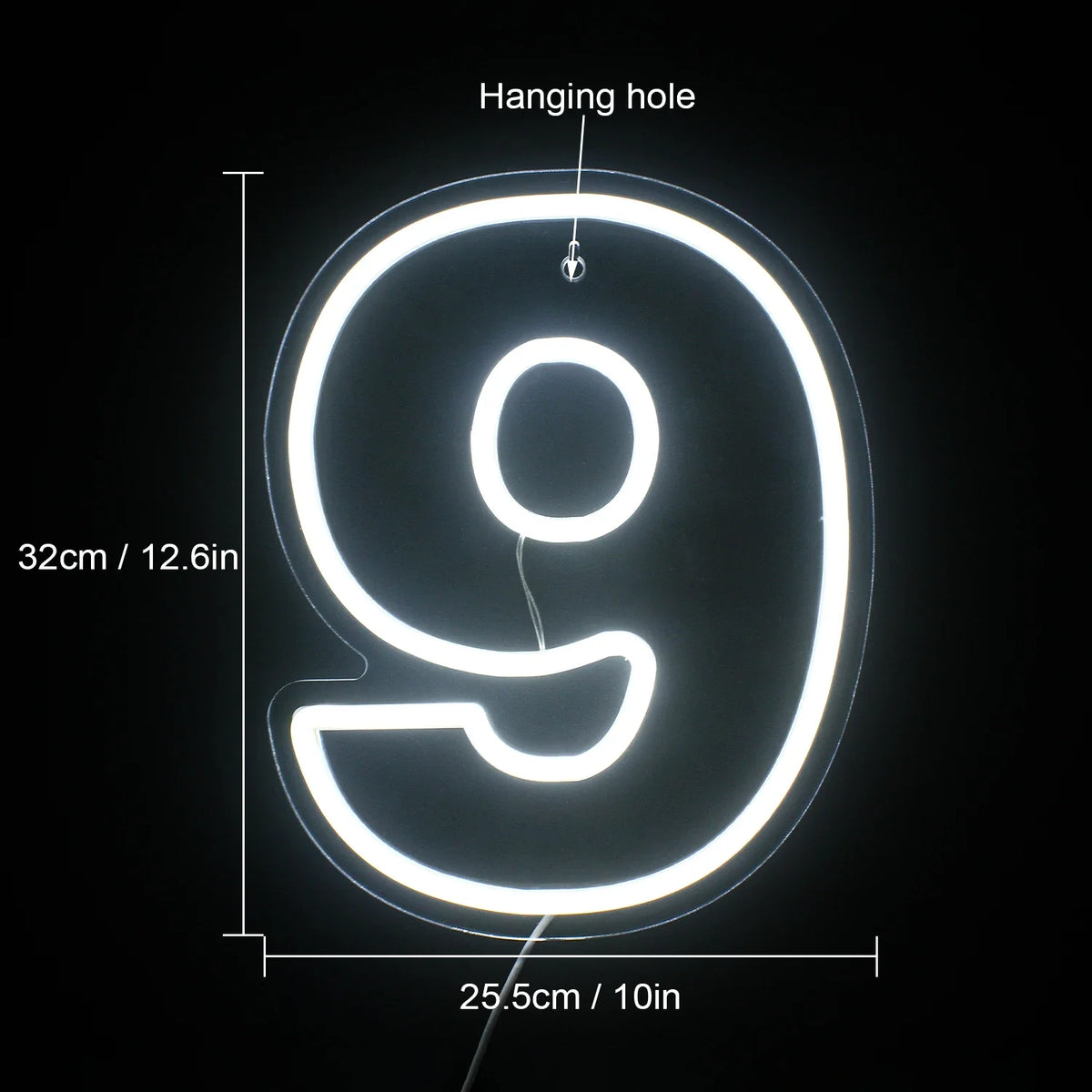 Birthday 0–9 Digital Numbers 5V USB LED neon sign
