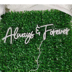 Always Forever 5V USB LED neon sign