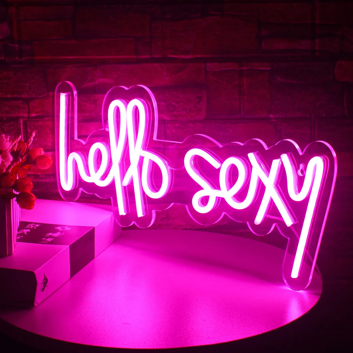 Enseigne néon LED USB 5 V Hello Sexy