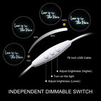 Love is in the Hair 5V USB LED neon sign
