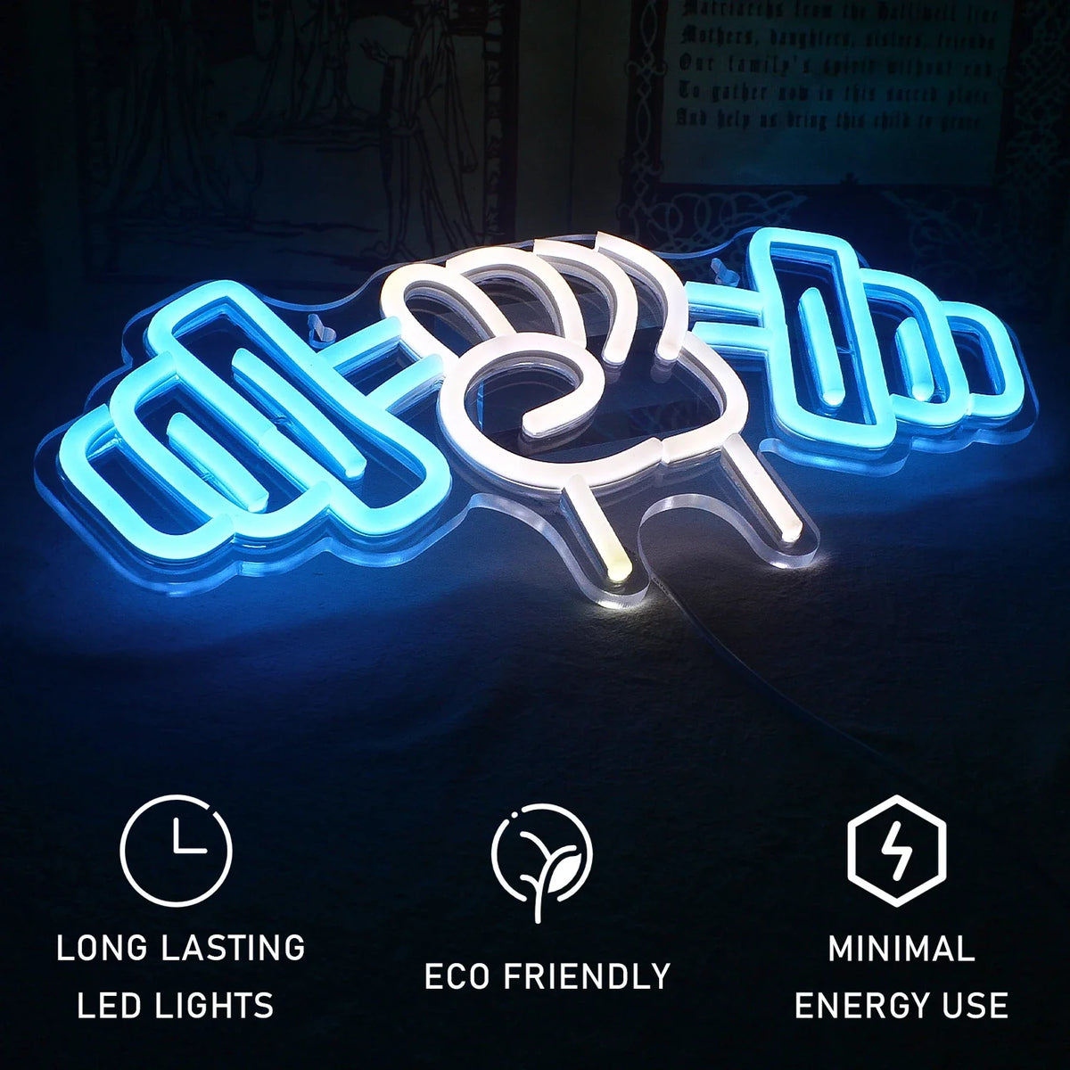 Barbell Weightlifting 5V USB LED neon sign