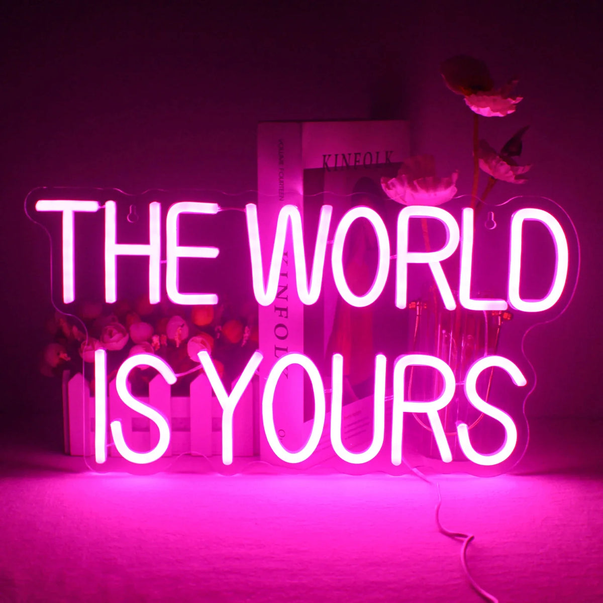 Enseigne néon LED USB 5 V The World Is Yours