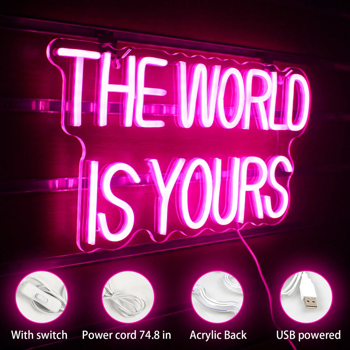 Enseigne néon LED USB 5 V The World Is Yours