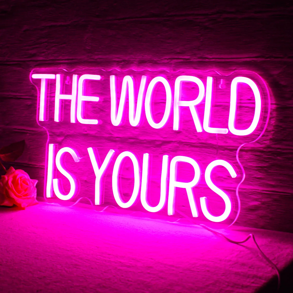 Enseigne néon LED USB 5 V The World Is Yours