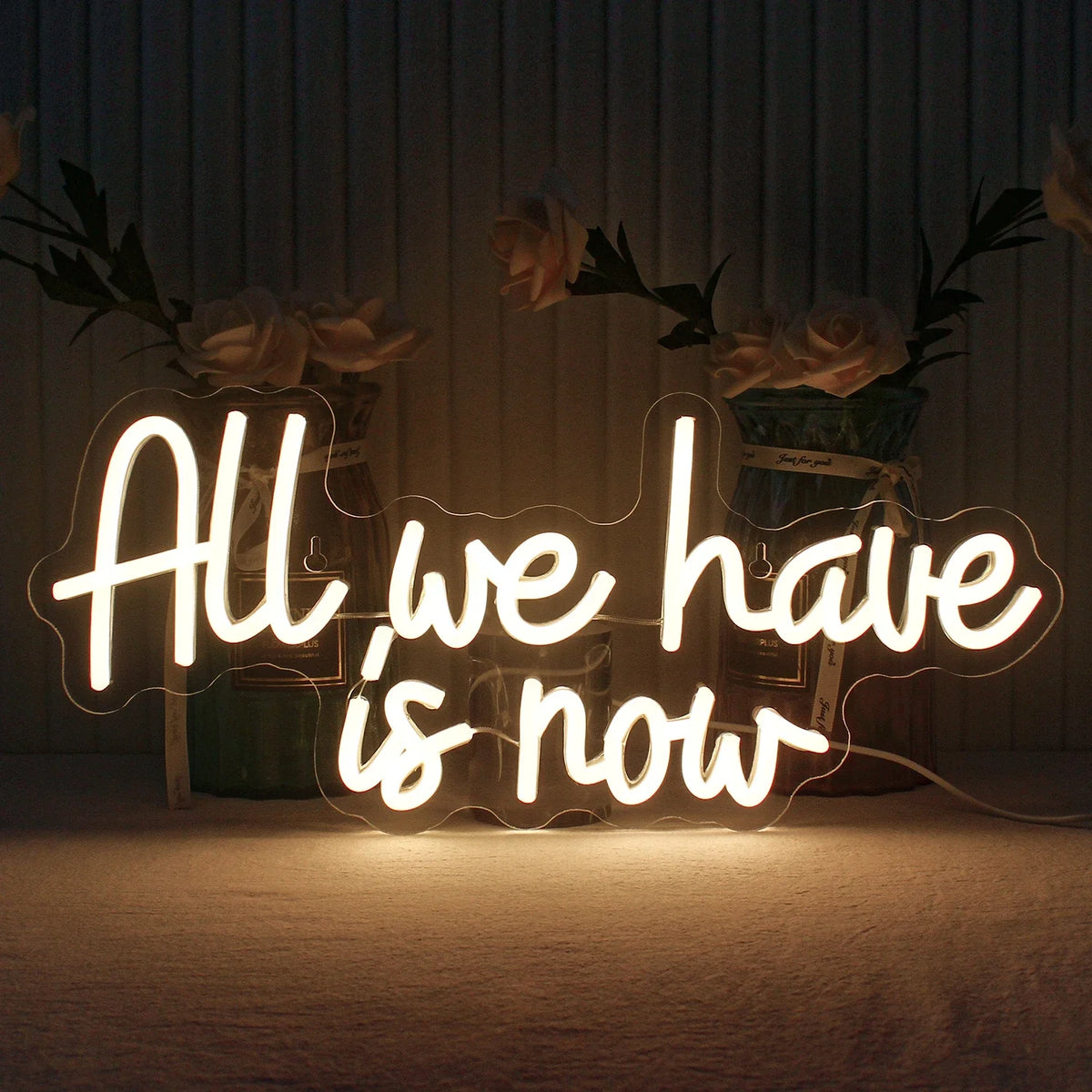 Enseigne néon LED USB 5 V All We Have Is Now — 42 × 18 cm
