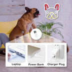 Cute Dog 5V USB LED neon sign