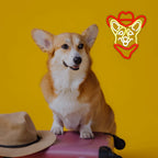 Corgi Cowboy 5V USB LED neon sign