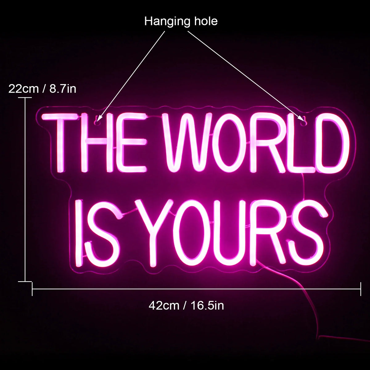 Enseigne néon LED USB 5 V The World Is Yours