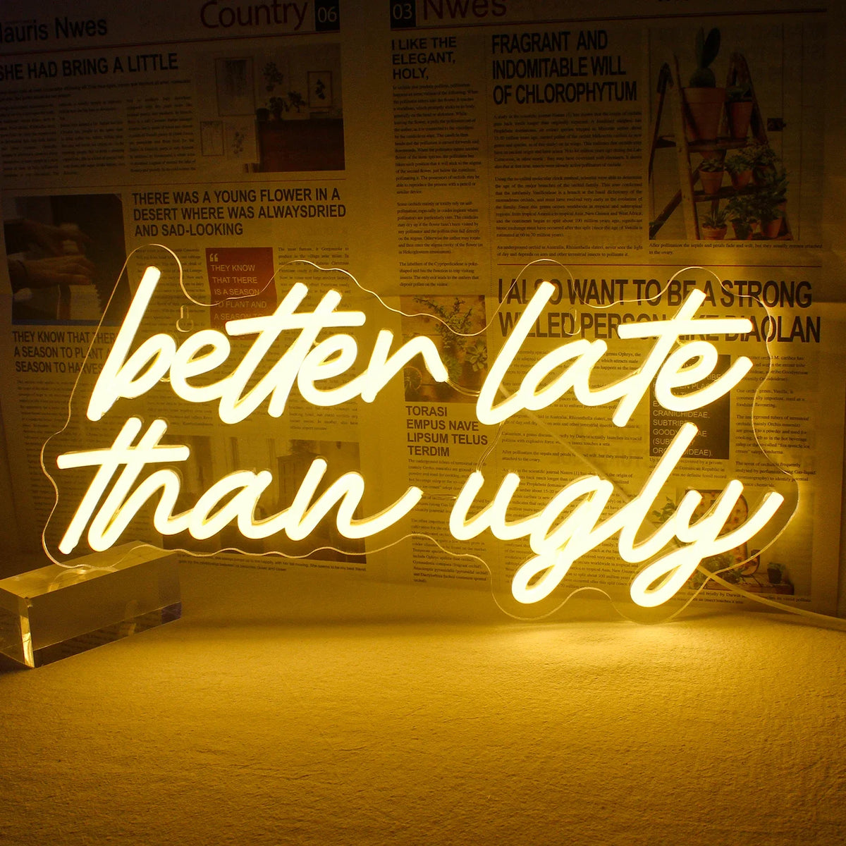 Better Late Than Ugly 5V USB LED neon sign – Warm White
