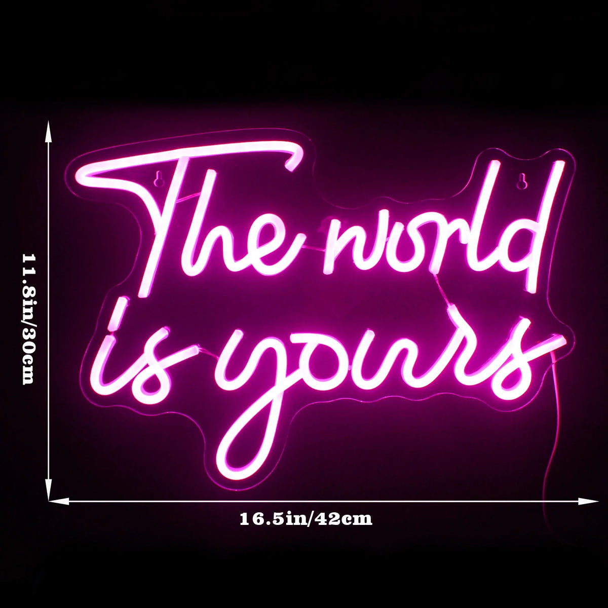 The World Is Yours 5V USB LED neon sign