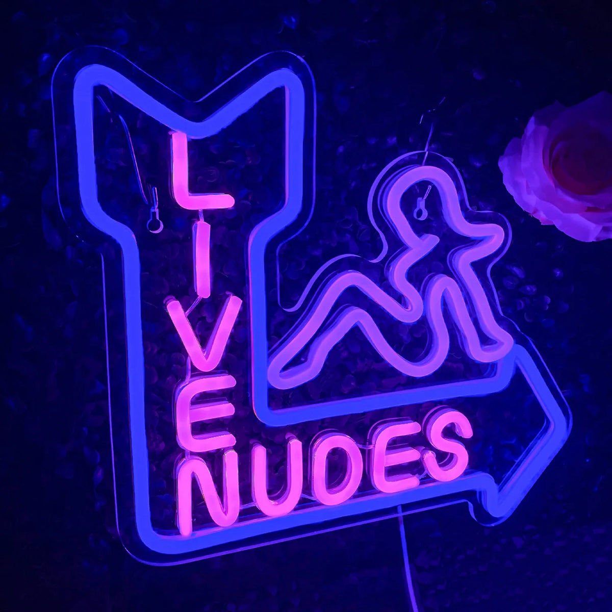 Enseigne néon LED USB 5 V Silhouette féminine « Live Nudes »