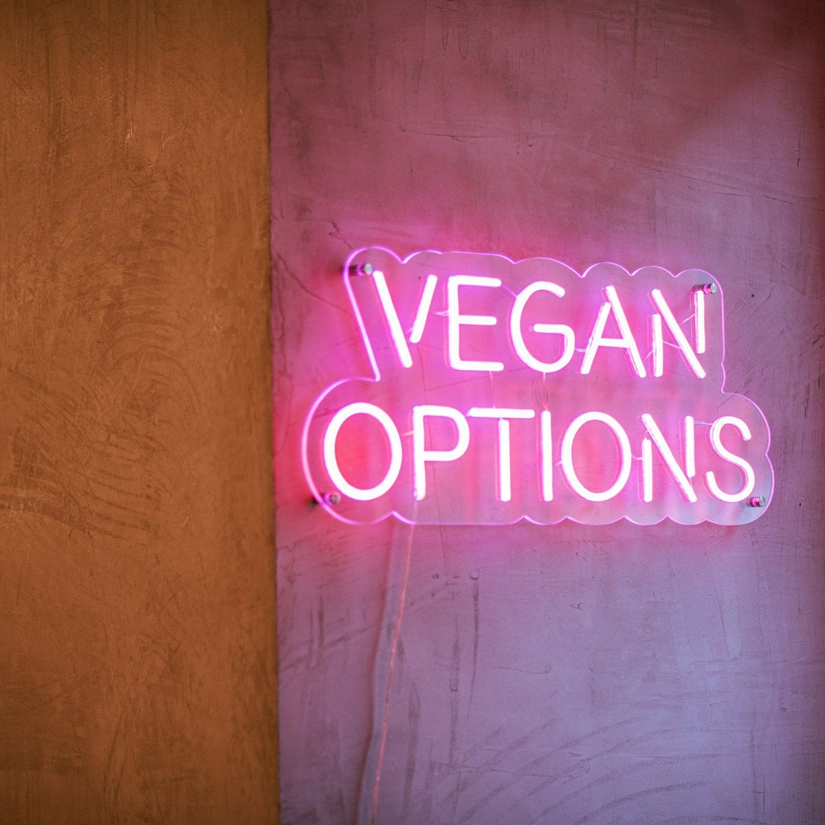 Pink vegan options LED neon sign on a wall inside Ichigo Budapest fusion restaurant.