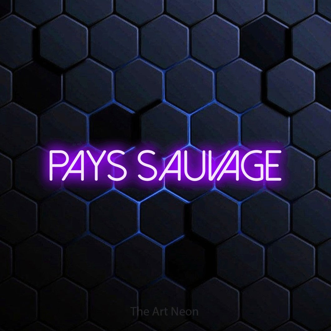 “Pays sauvage” LED neon sign in purple, with thin sans-serif lettering, shown against a dark blue honeycomb pattern.