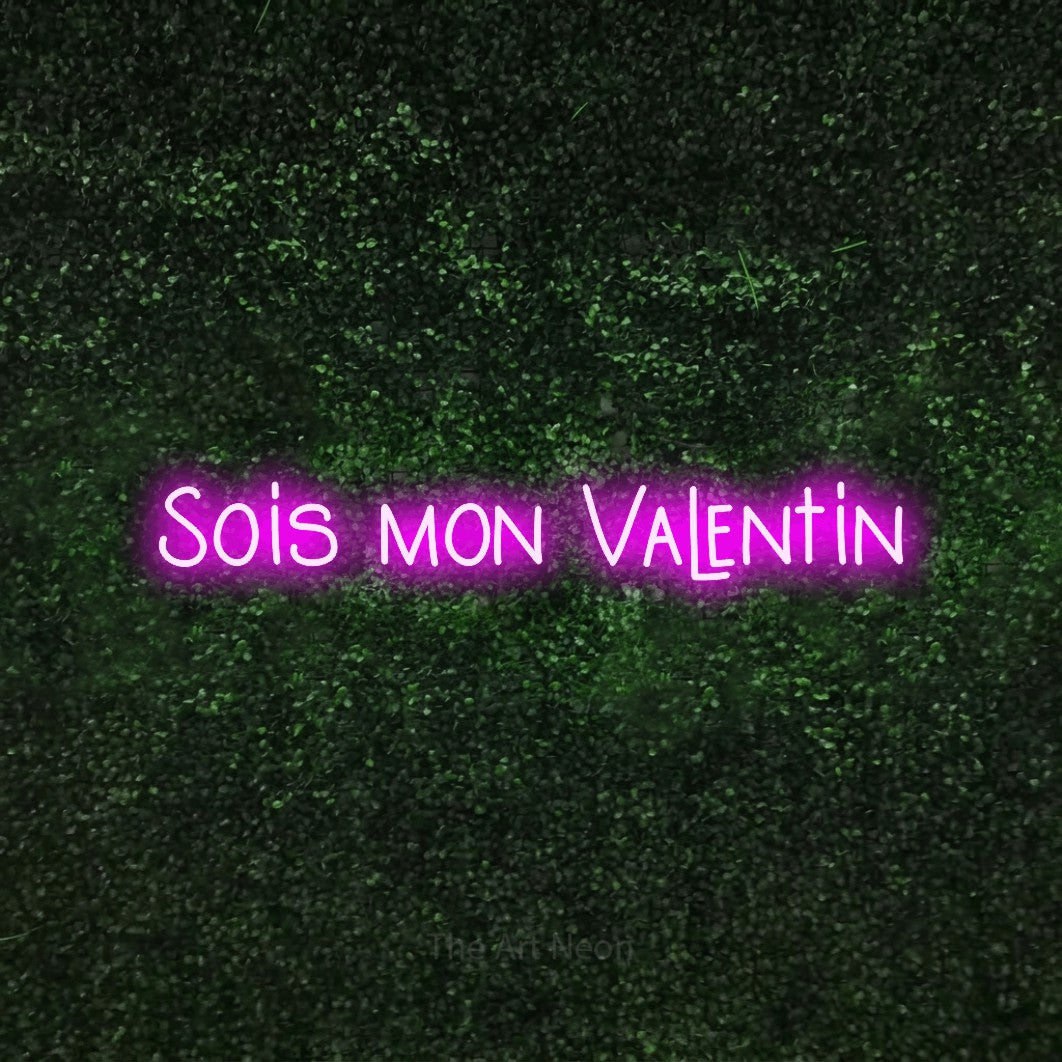 “Sois mon valentin” LED neon sign in pink, with narrow hand-drawn lettering, shown against a textured green hedge.