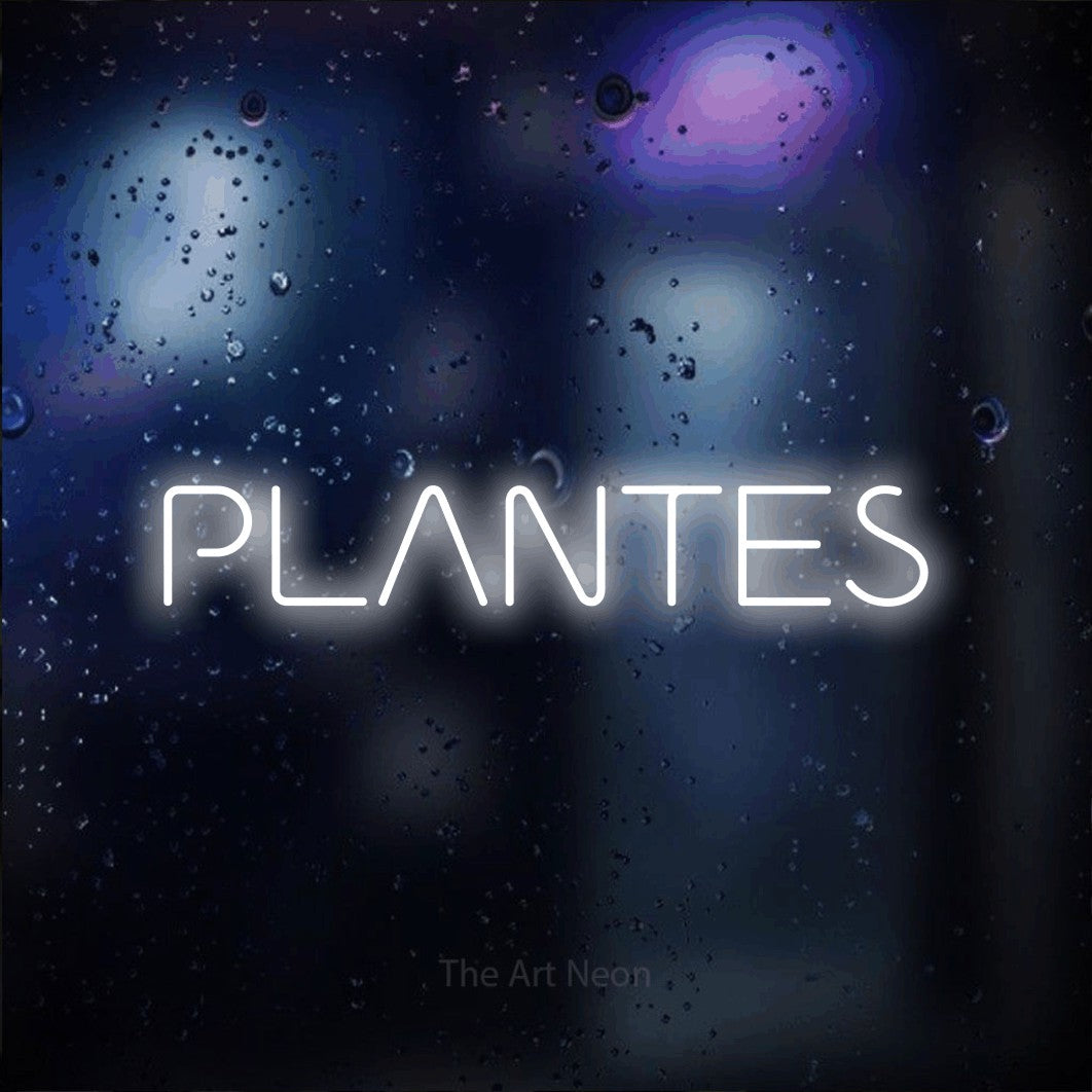 “Plantes” LED neon sign in cool white, with stylised geometric lettering, shown against glass with blue and purple reflections.