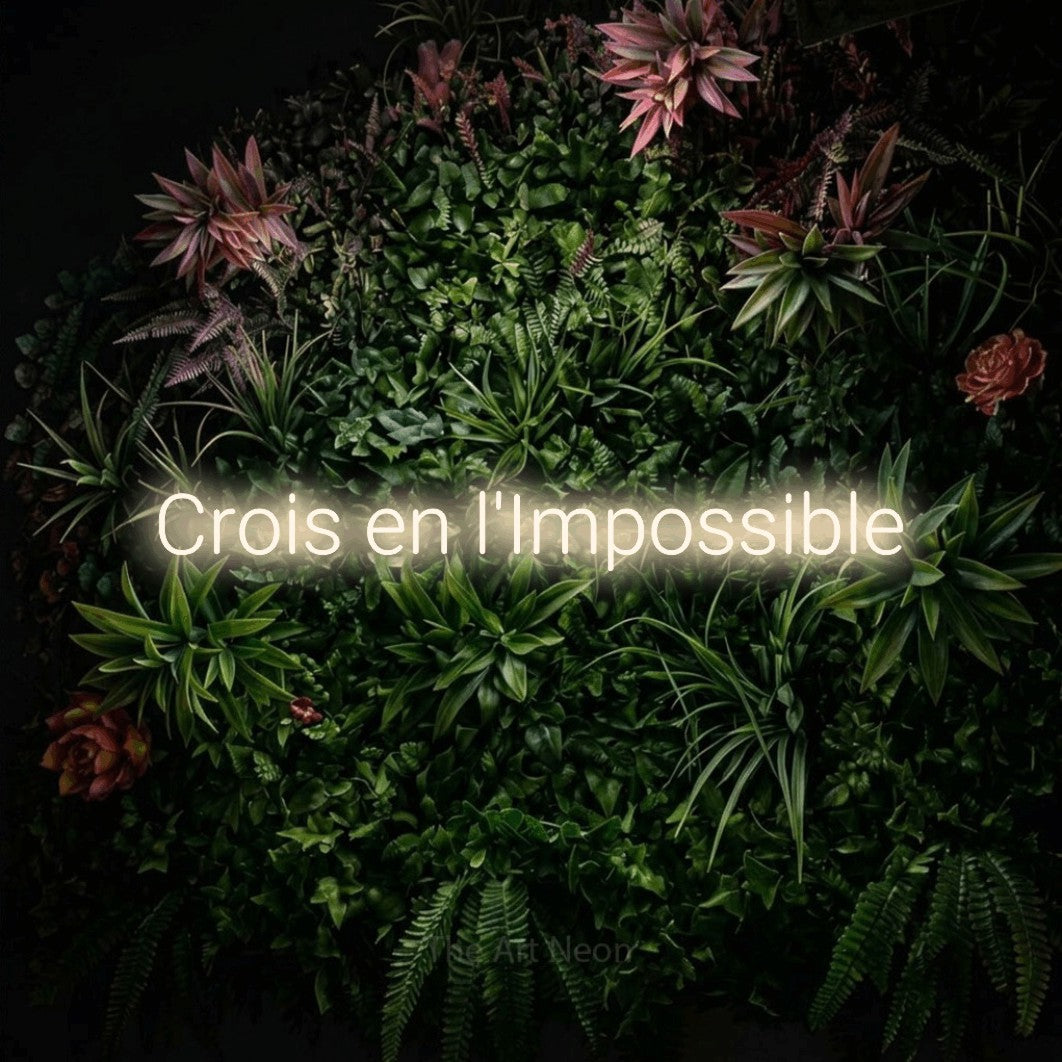 “Crois en l'impossible” LED neon sign in warm white, with rounded sans-serif lettering, shown against a flowering plant wall.