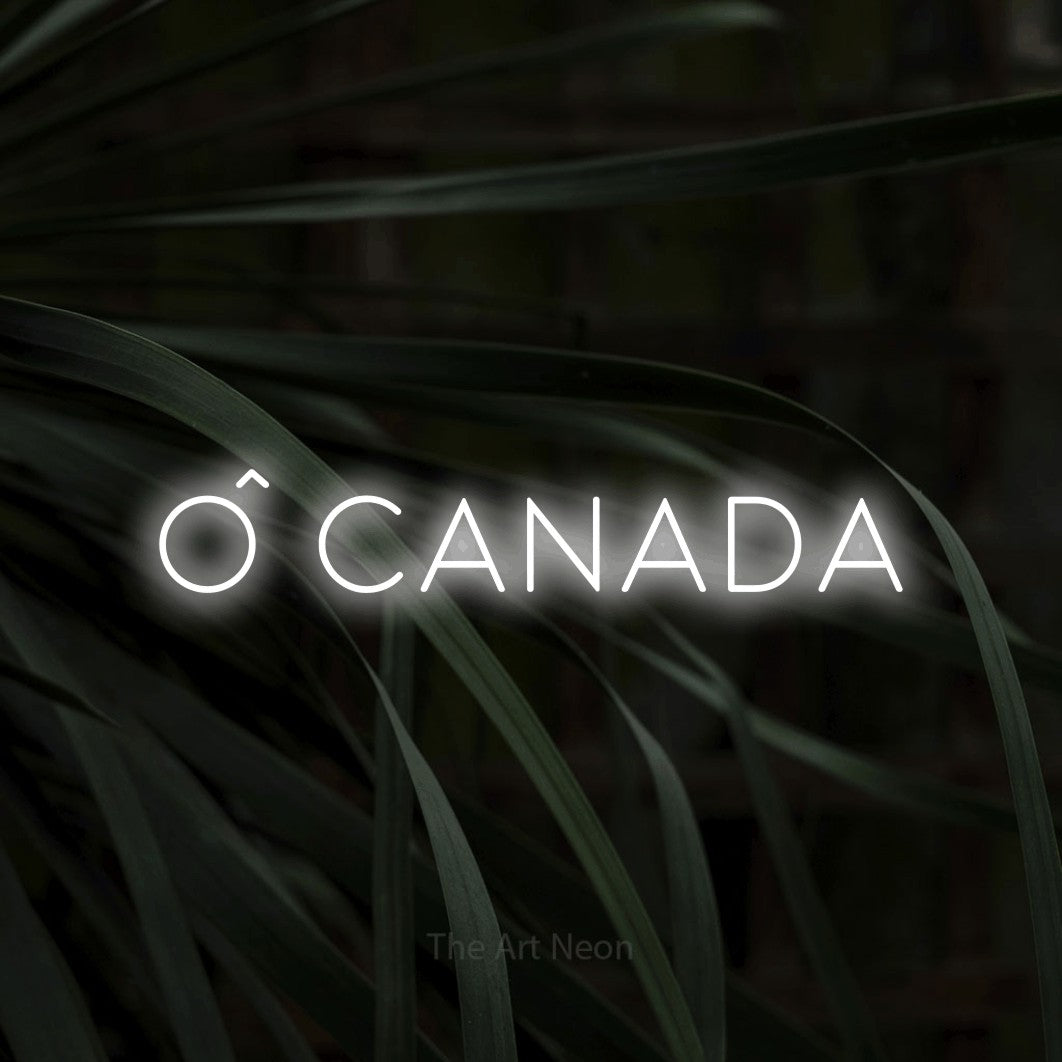 “Ô Canada” LED neon sign in cool white, with thin, widely spaced lettering, shown against a close-up of dark foliage.