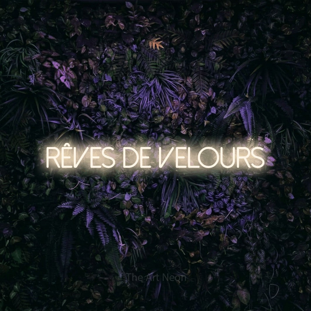“Rêves de velours” LED neon sign in warm white, with thin sans-serif lettering, shown against a dark wall with purple flowers.