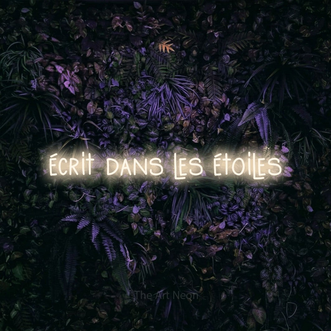 “Écrit dans les étoiles” LED neon sign in warm white, with narrow hand-drawn lettering, shown against a dark wall with purple flowers.